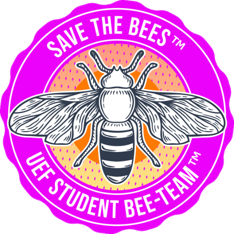 UEF Student Bee-Team badge