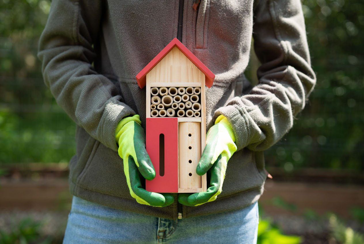 Hands holding a small bee hotel